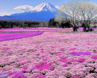 Top 10 Fun Things to See and Do in Hokkaido