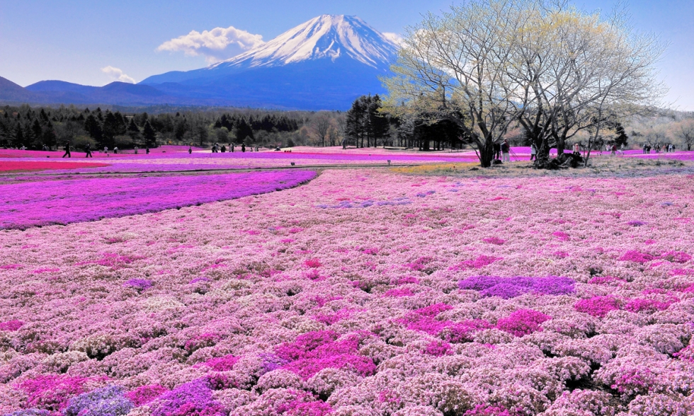 Top 10 Fun Things to See and Do in Hokkaido