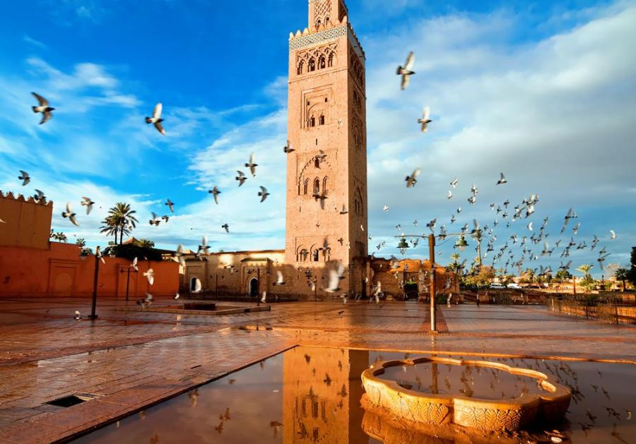 Top 10 Amazing Things to See and Do in Morocco