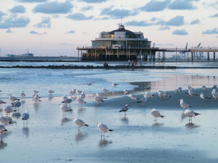 blankenberge