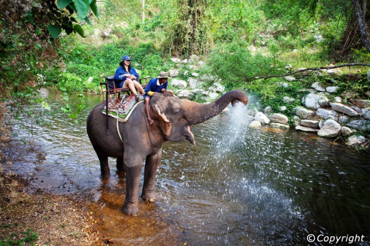 پرطرفدارترین پارک در کشور تایلند