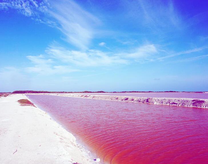Pink Lagoon, Las Coloradas, Yucatan, Mexico