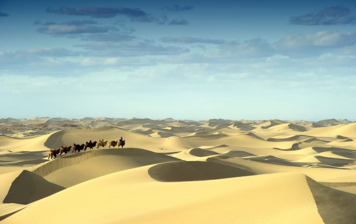 Gobi desert, Mongolia