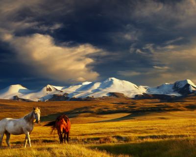 7 Reasons Mongolia Should Top Your 2017 Bucketlist