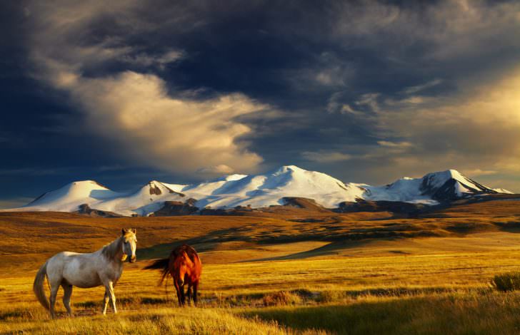 Mongolia landscape