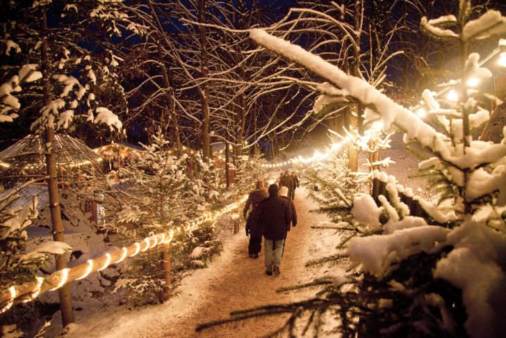 Schloss Guteneck Christmas Market, Germany