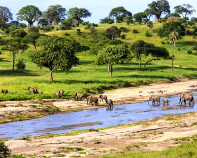 First-Time Africa: Ideas For Your Trip