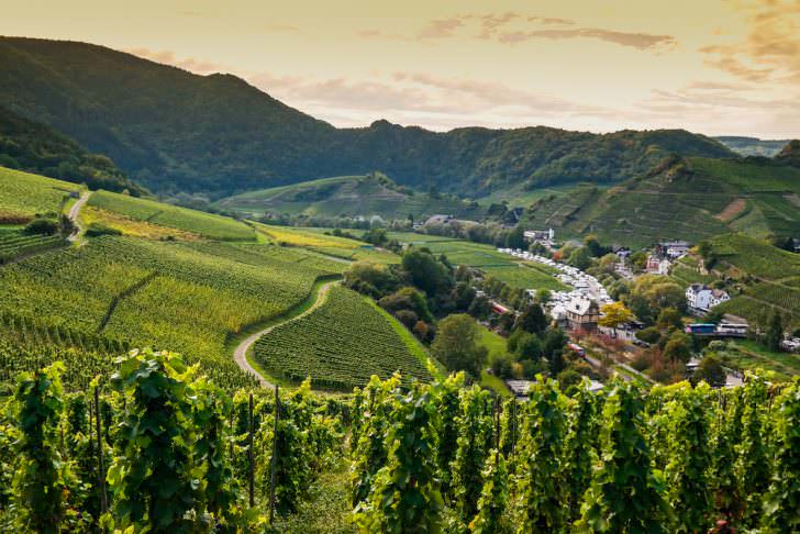Ahr Valley, Germany