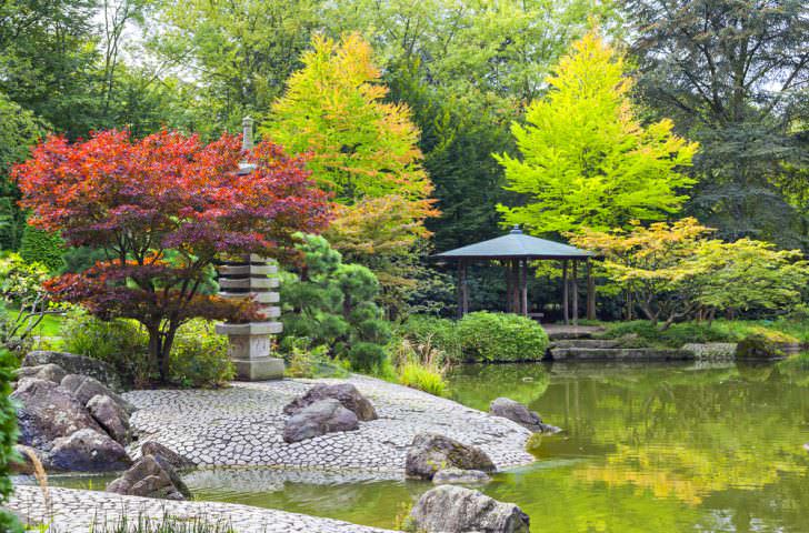 Japanese garden in Bonn, Germany