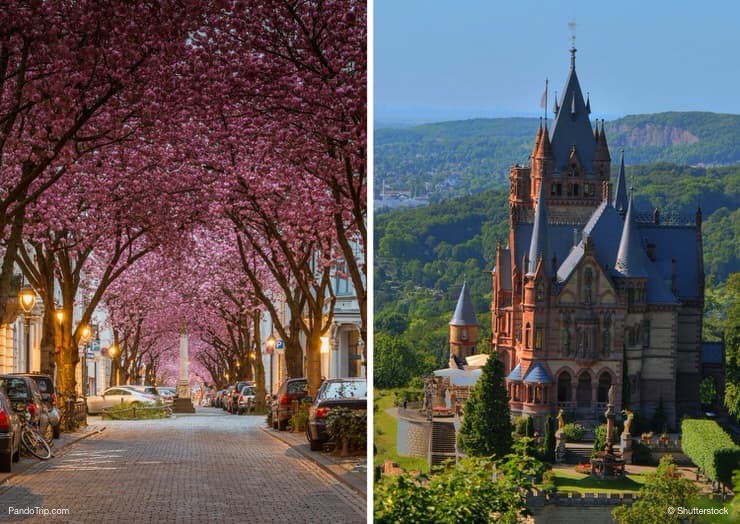 Top 10 Places to See in Bonn, Germany