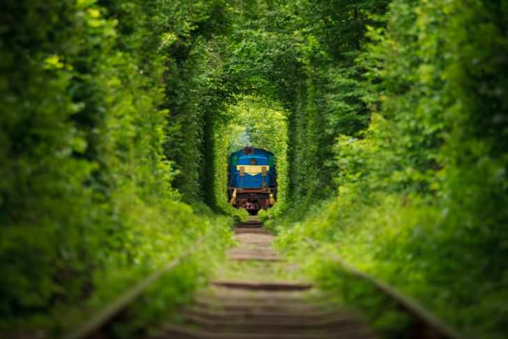 Tunnel of Love, Klevan, Ukraine