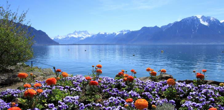 Colorful springtime flowers at Geneva lake, Montreux, Switzerland