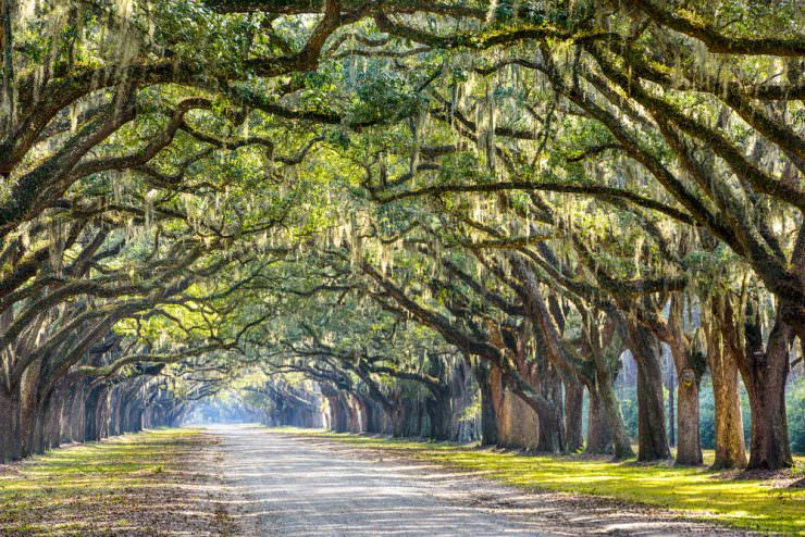 Savannah, Georgia, USA