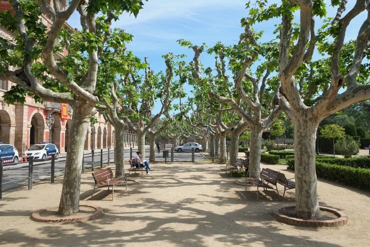 A stunning view in Citadel Park in Barcelona