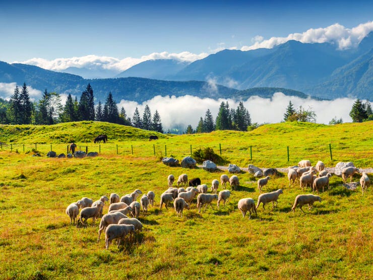 Triglav National Park, Julian Alps, Slovenia