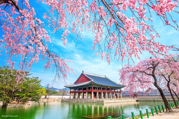 tourist destination korea