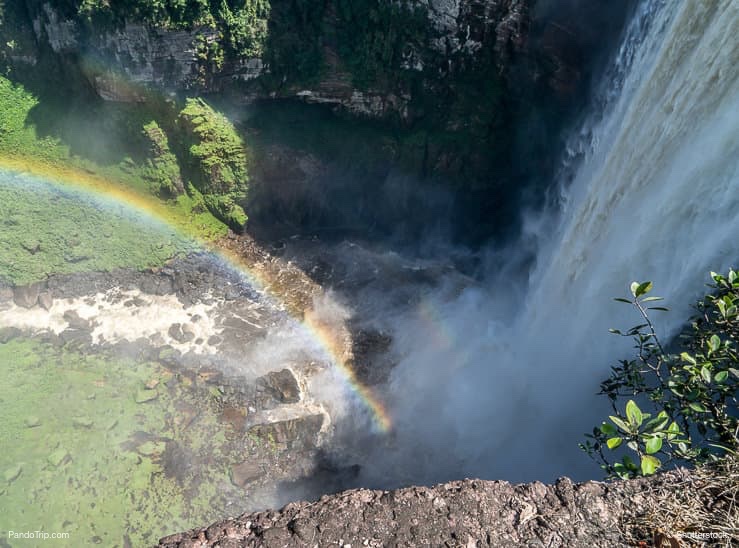 Guardando giù alle Kaieteur Falls