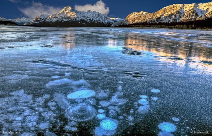 Abraham Lake Bubbles