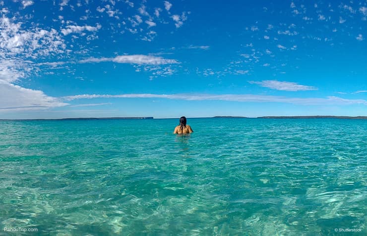 Standing in the crystal clear blue water, Jervis Bay National Park