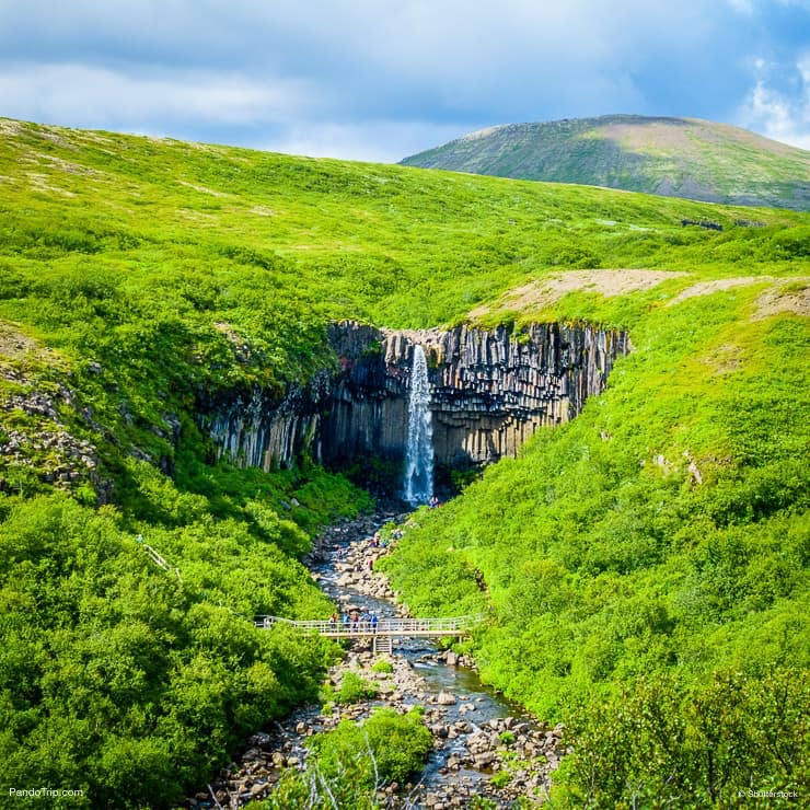 Svartifoss Waterfall in Skaftafell