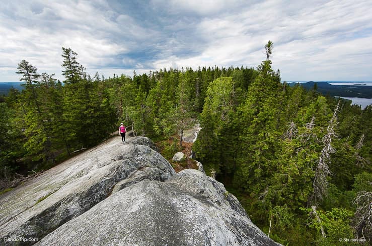 Koli National Park, Finland