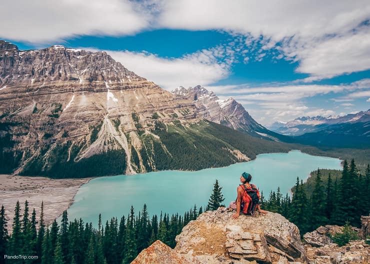 A Spectacular Turquoise Peyto Lake in Canada