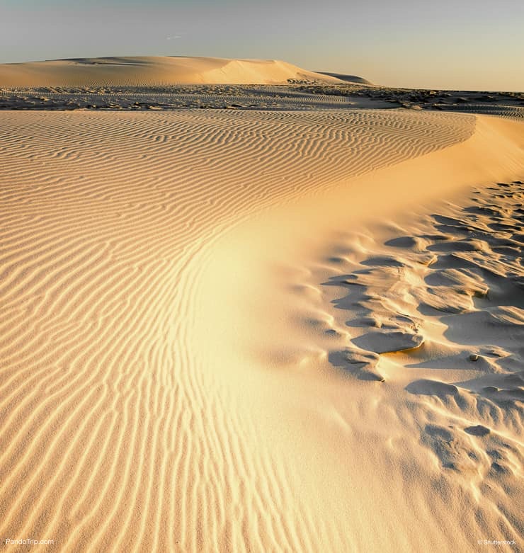 Rabjerg Mile Dunes in Denmark