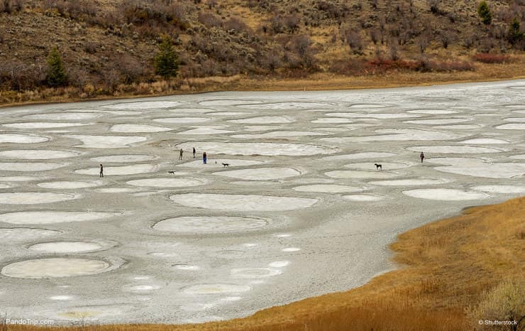 Spotted Lake in Canada