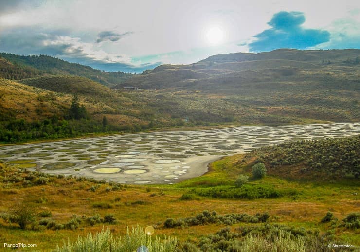 Spotted lake in Okanagan Vallye, British Columbia