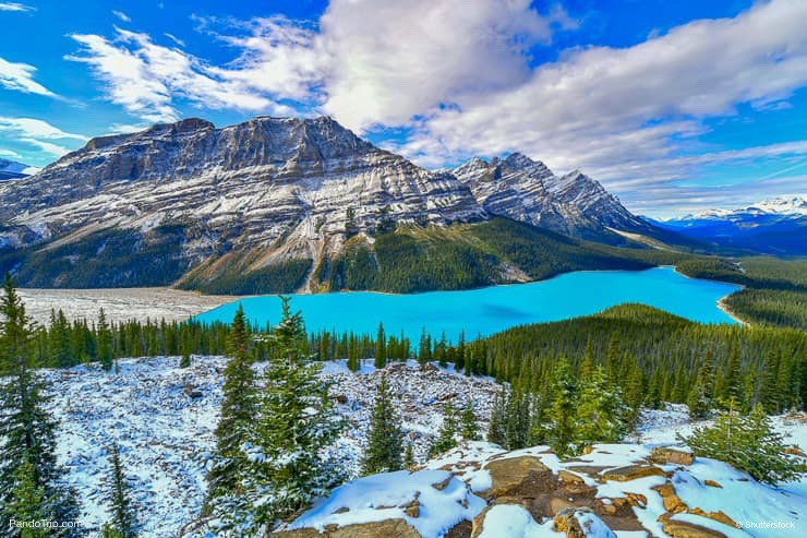 View from Bow Summit of Peyto lake in Banff National Park, Alberta, Canada