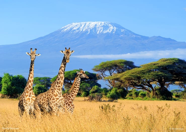 Top 10 Incredible Natural Wonders in Africa