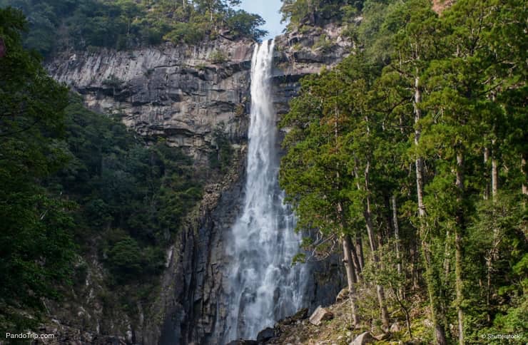 Nachi Waterfall in Japan
