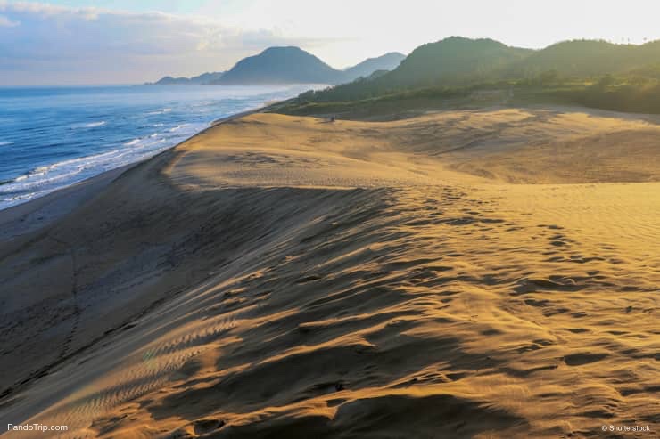 Tottori-Sand-Dunes-Landscape-in-Japan.jpg