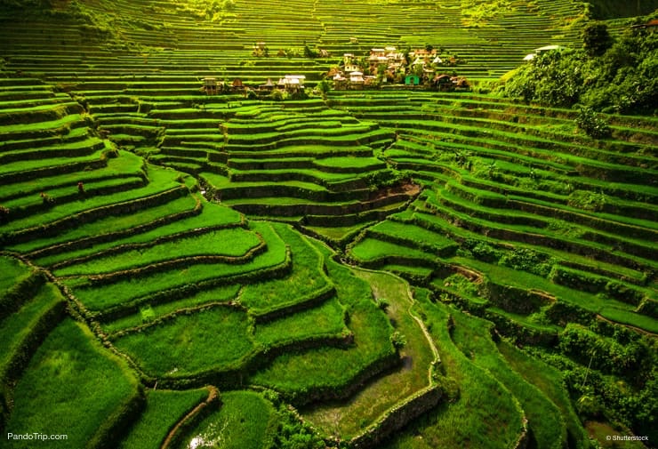 Banaue Rice Fields, Ifugao, Philippines