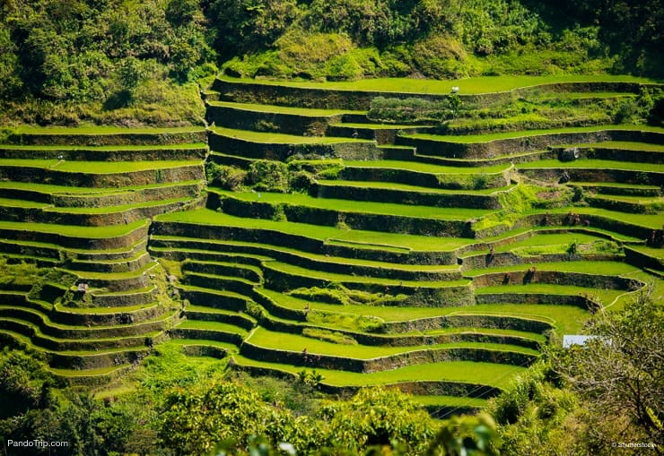 Banaue Rice Terraces, Philippines