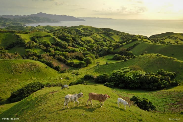 Vayang Rolling Hills, Batanes, Philippines