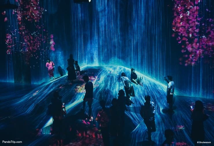 Waterfall and Flowers, Borderless World, TeamLab Borderless, Mori Digital Art Museum