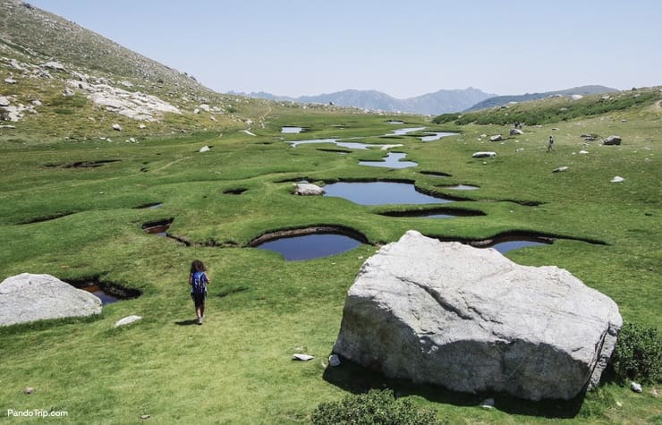 The wet plateau I Pozzi, covered with small lakes and green fields in Corsica, France