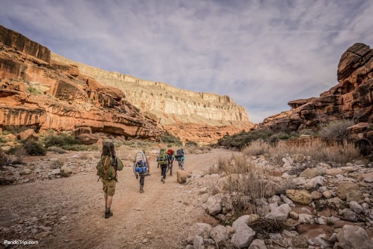 Group of hikers going to Havasu Falls