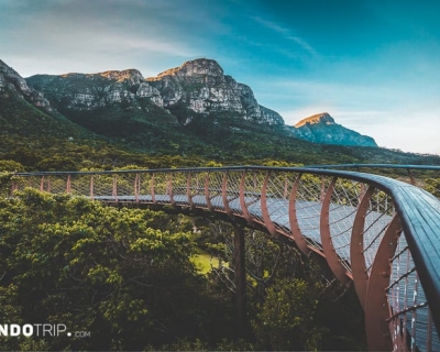 The Boomslang – a Walkway Above the Trees in South Africa