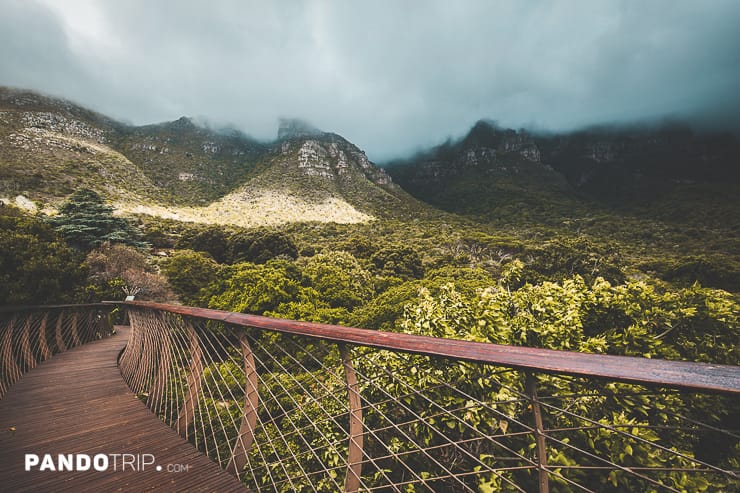 Boomslang Path