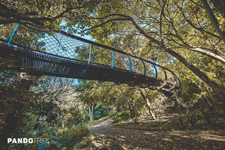 Boomslang tree top canopy walk