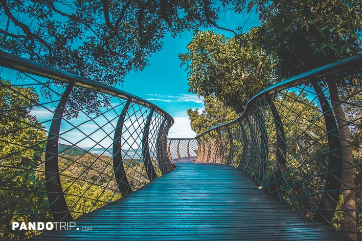 Boomslang walkway in Cape Town