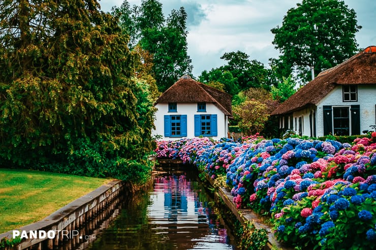 Flowers in Giethoorn village in the Netherlands