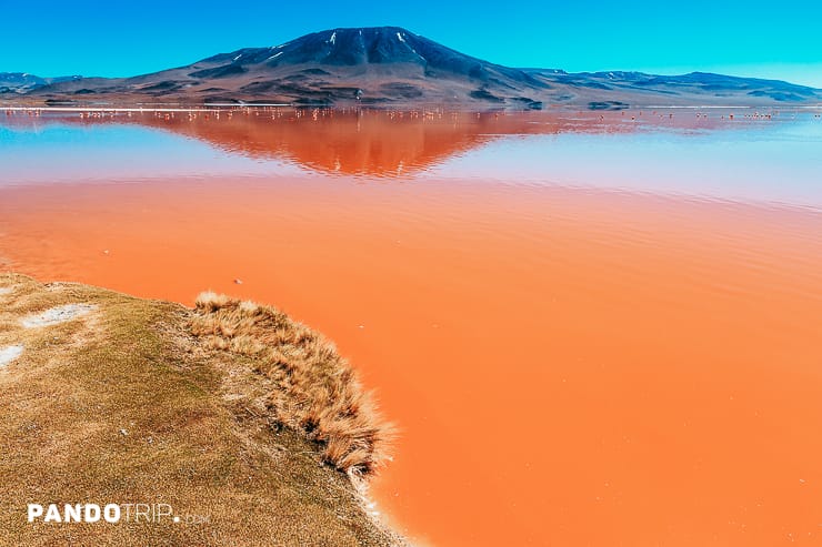 Laguna Colorada in Bolivia