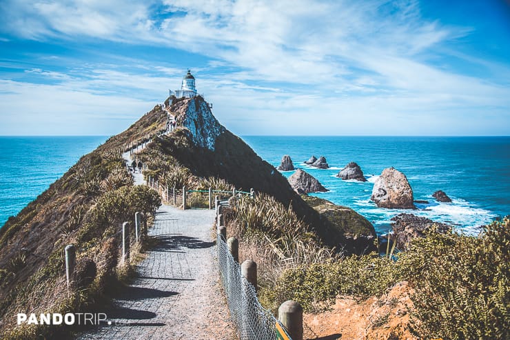 Nugget Point, Otago, New Zealand