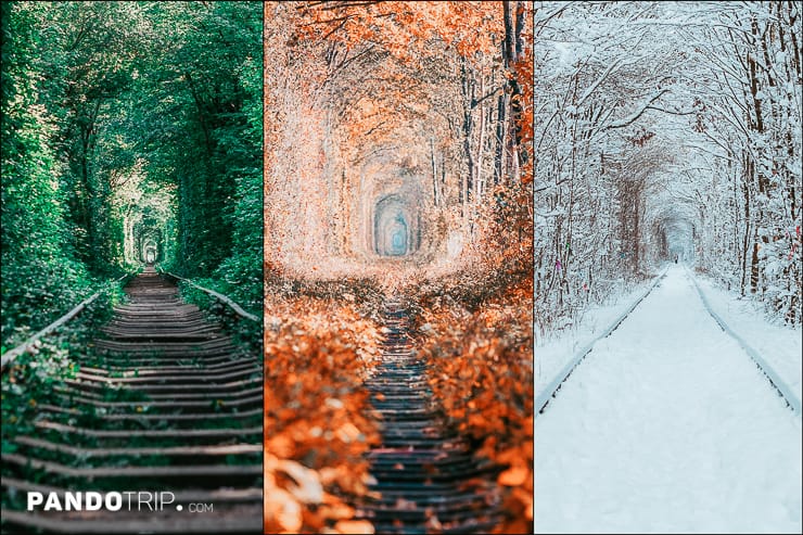 Seasons in the Tunnel of Love, Ukraine