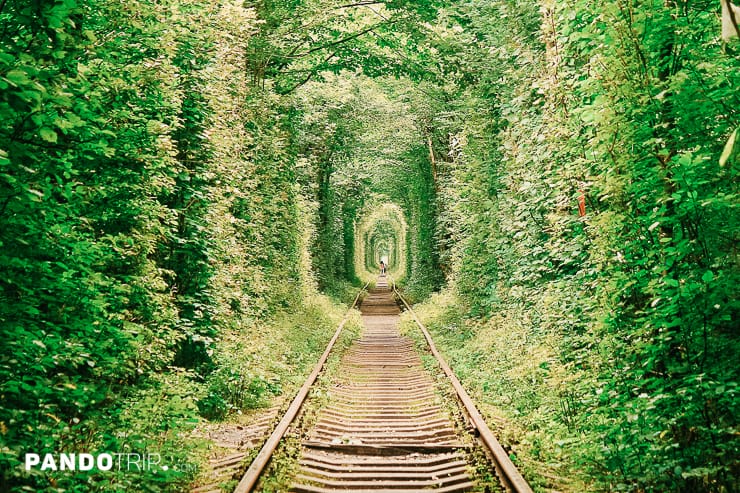 Tunnel of Love – the Most Romantic Place in Ukraine