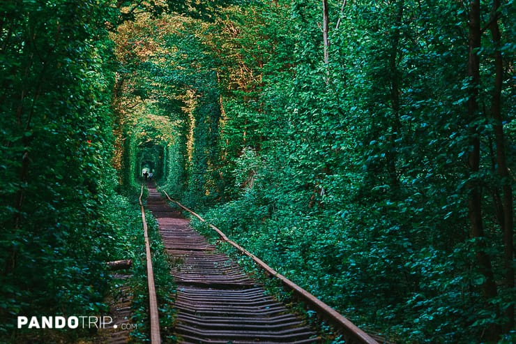 Tunnel of Love