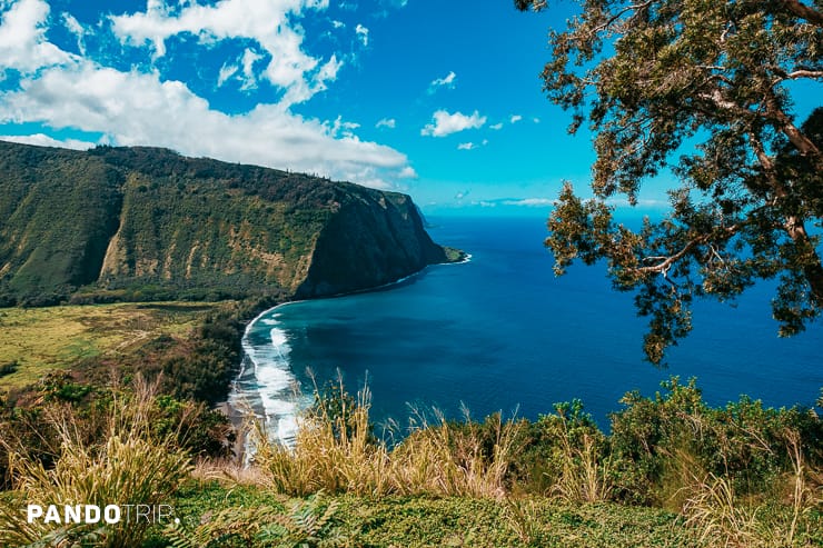 Waipio Valley Lookout,Big Island Hawaii